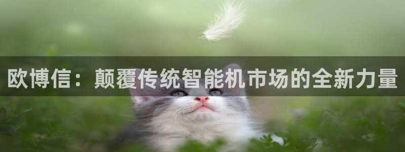 壹号平台下载安装官网：欧博信：颠覆传统智能机市场的全新力量