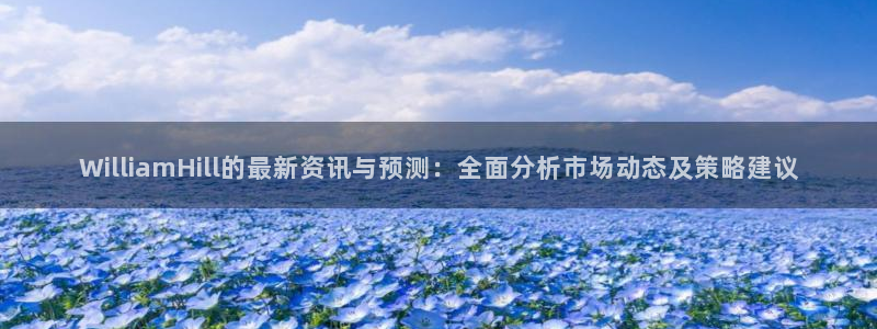 摩根娱乐ccm赏金女王：WilliamHill的最新资讯与预测：全面分析市场动态及策略建议