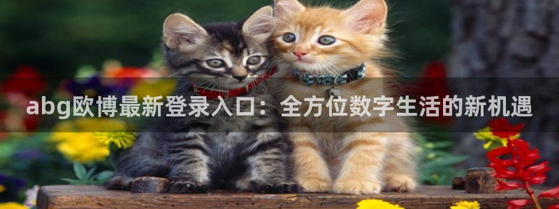 摩根娱乐官方app下载安装：abg欧博最新登录入口：全方位数字生活的新机遇