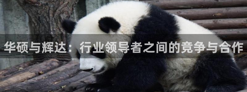 摩根娱乐下载官网入口在哪：华硕与辉达：行业领导者之间的竞争与合作