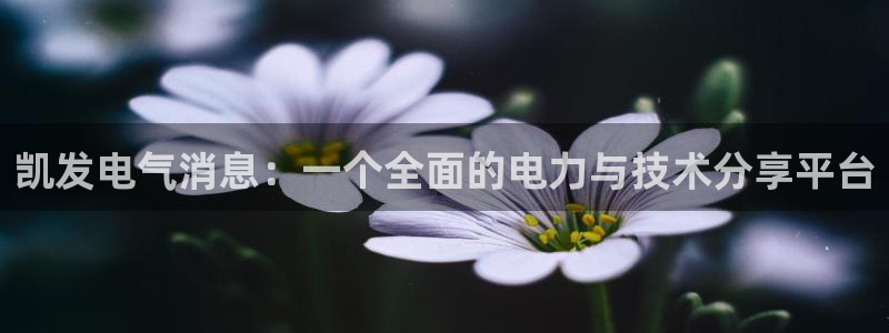 壹号top娱乐：凯发电气消息：一个全面的电力与技术分享平台