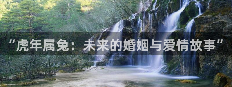 摩根娱乐怎么下载：“虎年属兔：未来的婚姻与爱情故事”