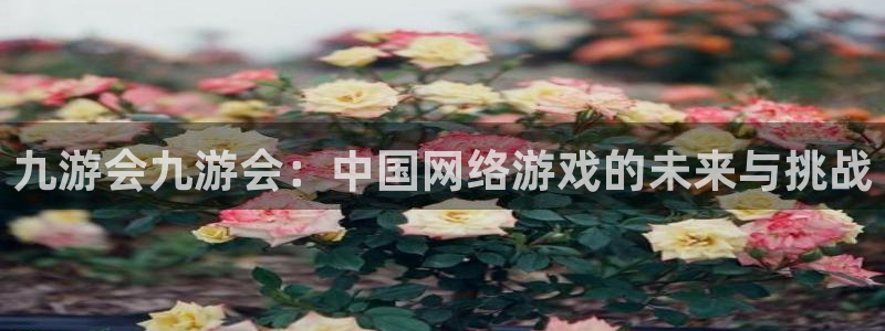 摩根娱乐手机客户端下载安装：九游会九游会：中国网络游戏的未来与挑战