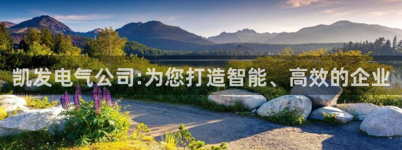壹号电子娱乐app下载：凯发电气公司:为您打造智能、高效的企业