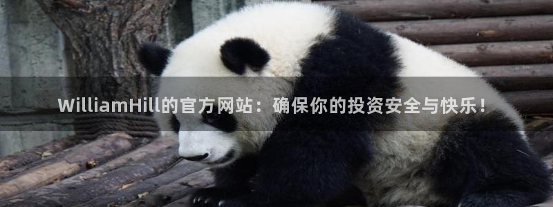 南宫摩根娱乐：WilliamHill的官方网站：确保你的投资安全与快乐！