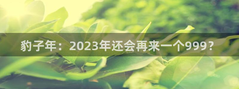 摩根娱乐强制退款流程详解：豹子年：2023年还会再来一个999？