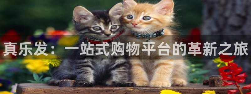 壹号平台娱乐：真乐发：一站式购物平台的革新之旅