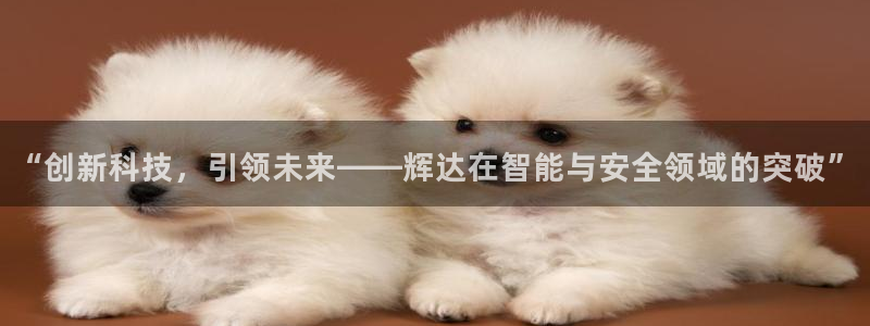 摩根娱乐官网下载：“创新科技，引领未来——辉达在智能与安全领域的突破”