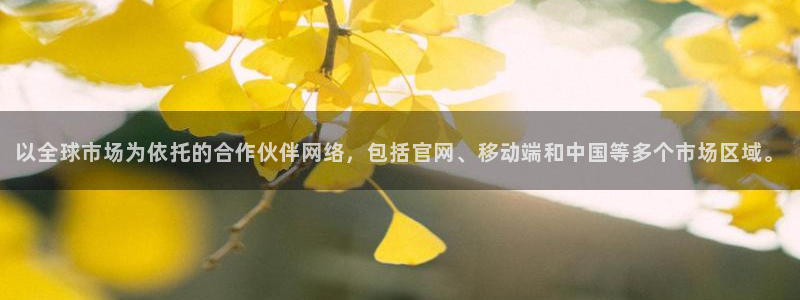 南宫摩根娱乐官网下载链接：以全球市场为依托的合作伙伴网络，包括官网、移动端和中国等多个市场区域。