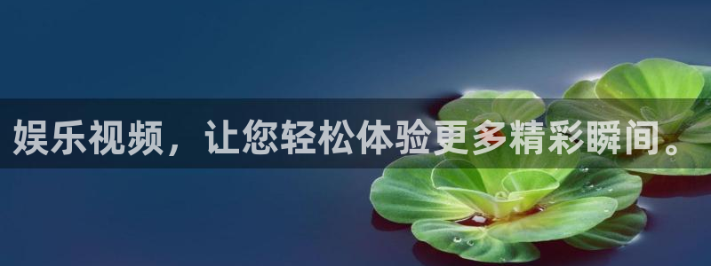 摩根娱乐是赌博吗：娱乐视频，让您轻松体验更多精彩瞬间。