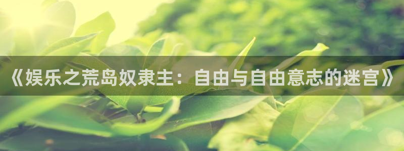 摩根娱乐下载链接是多少：《娱乐之荒岛奴隶主：自由与自由意志的迷宫》