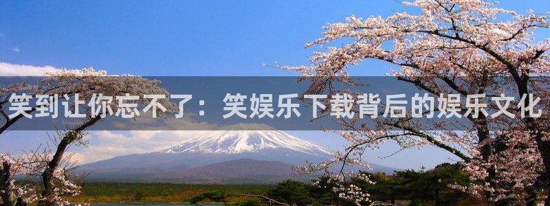 摩根娱乐分红代理计划：笑到让你忘不了：笑娱乐下载背后的娱乐文化
