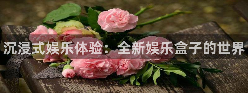 摩根娱乐官网地址：沉浸式娱乐体验：全新娱乐盒子的世界