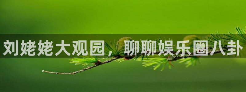 摩根娱乐com：刘姥姥大观园，聊聊娱乐圈八卦