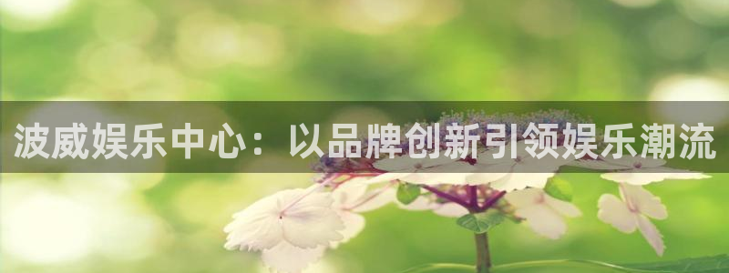 壹号大舞台28国际大舞台：波威娱乐中心：以品牌创新引领娱乐潮流