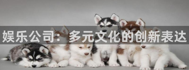 摩根娱乐注册登录入口：娱乐公司：多元文化的创新表达