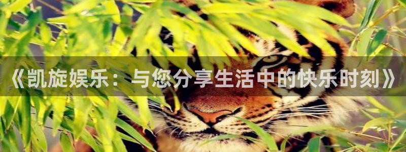 摩根娱乐平台链接：《凯旋娱乐：与您分享生活中的快乐时刻》