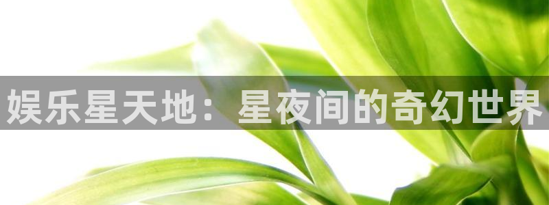 摩根娱乐平台官方网站：娱乐星天地：星夜间的奇幻世界