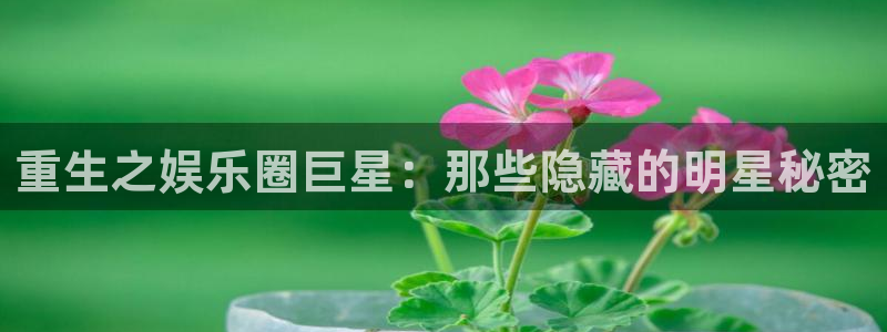 壹号大舞台怎么注册：重生之娱乐圈巨星：那些隐藏的明星秘密
