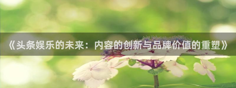壹号大舞台入口：《头条娱乐的未来：内容的创新与品牌价值的重塑》