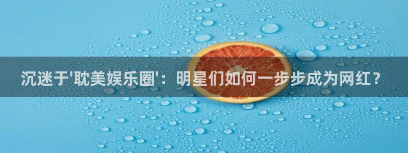 摩根娱乐的平台：沉迷于\'耽美娱乐圈\'：明星们如何一步步成为网红？