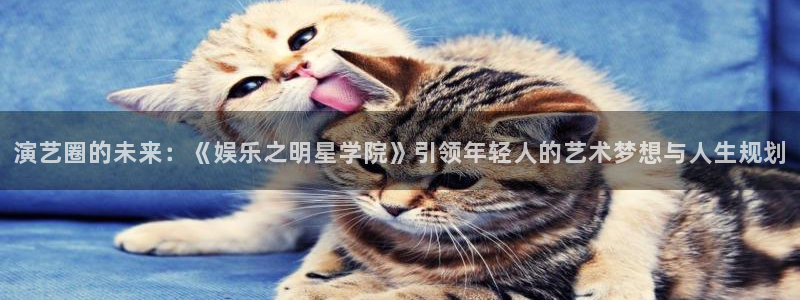 pg摩根娱乐平台下载入口：演艺圈的未来：《娱乐之明星学院》引领年轻人的艺术梦想与人生规划