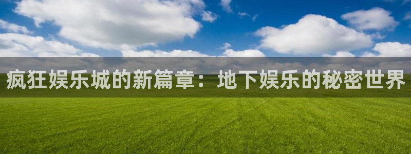 壹号大舞台：疯狂娱乐城的新篇章：地下娱乐的秘密世界