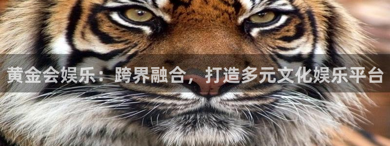 摩根娱乐app哪个模式容易赢：黄金会娱乐：跨界融合，打造多元文化娱乐平台