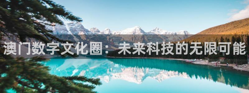 摩根娱乐是什么：澳门数字文化圈：未来科技的无限可能