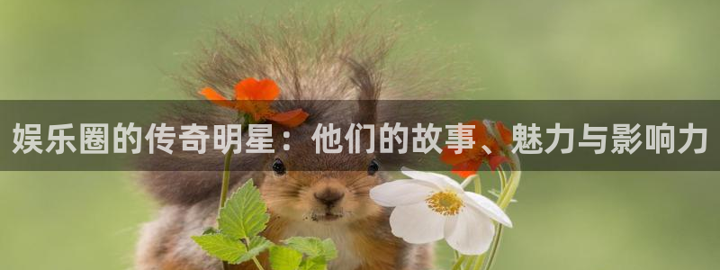 电子游戏摩根娱乐：娱乐圈的传奇明星：他们的故事、魅力与影响力