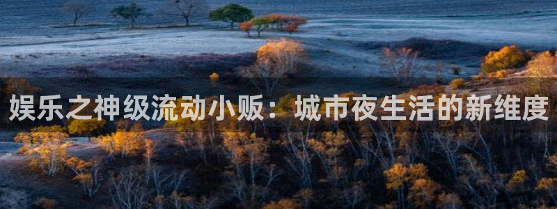 壹号玩家app下载：娱乐之神级流动小贩：城市夜生活的新维度