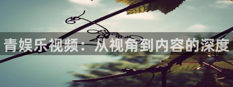 摩根娱乐怎么下载：青娱乐视频：从视角到内容的深度